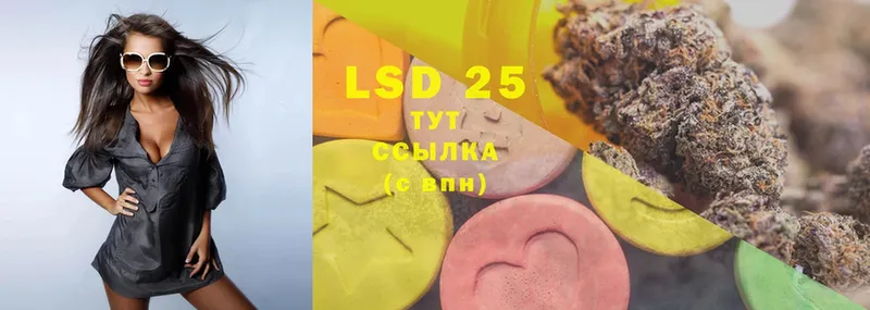 как найти   Луга  Лсд 25 экстази ecstasy 